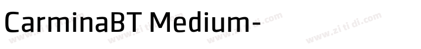 CarminaBT Medium字体转换
